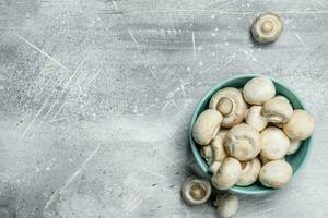 vers geurig champignons in schaal. foto