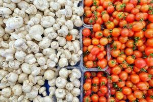 gezonde en biologische sappige tomaat en champignon