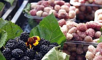 biologische sappige moerbei in de supermarkt foto