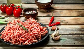 rauw fijngehakt vlees in een bord met specerijen en kruiden . foto