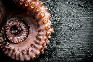 zeevruchten. vers Octopus. foto
