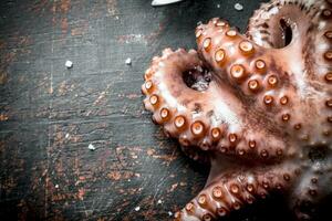 zeevruchten. vers gevangen Octopus. foto
