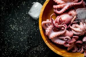 vers baby Octopus met ijs. foto