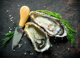 geopend rauw oesters met mes en dille. foto