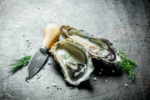 geopend rauw oesters met mes en dille. foto
