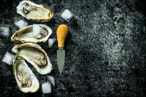 geopend rauw oesters met ijs kubussen en mes. foto