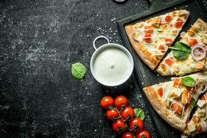 plakjes van pizza met tomaten en kaas saus in schaal. foto