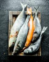divers rauw vis Aan houten dienblad. foto