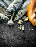 vers rauw vis Aan een visvangst netto met knoflook en oesters. foto