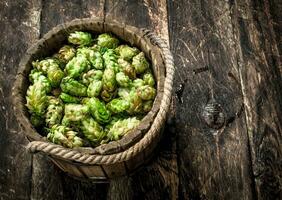 groen hop voor bier in een houten emmer. foto