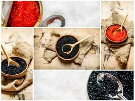 voedsel collage van rood en zwart kaviaar. foto