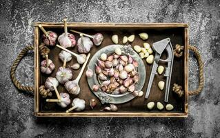 vers knoflook met een druk op gereedschap Aan een houten dienblad. foto