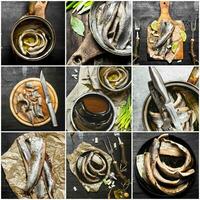 voedsel collage van haring . foto