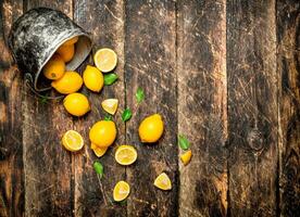 rijp citroenen in de oud emmer. foto