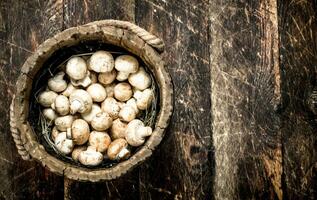 vers champignons in een houten emmer. foto
