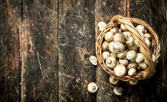 verse champignons in een mand. foto