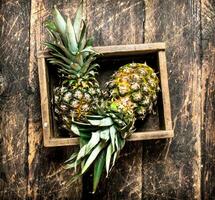 vers ananas in een oud doos. foto