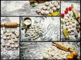 voedsel collage van Italiaans ravioli . foto