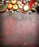 vers specerijen. een verscheidenheid van aromatisch specerijen met Chili paprika's en uien. Aan rustiek achtergrond. foto