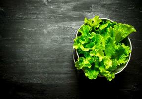 vers salade in een pot. foto