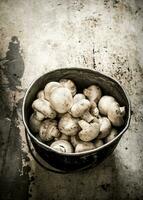 vers champignons in een oud pot. Aan rustiek achtergrond. foto