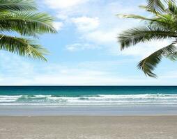 palm boom Aan tropisch strand met blauw lucht en wit wolken achtergrond. kopiëren ruimte van zomer vakantie en bedrijf reizen concept ontwerp foto