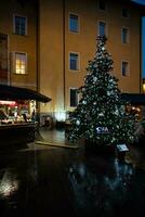 Kerstmis bomen versierd met vakantie lichten en ornamenten in de divers Kerstmis markten in Italië gedurende de Kerstmis vakantie foto