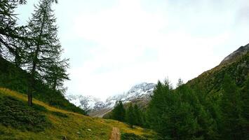 landschappen van livigno in valtellina met watervallen en rivieren en met sneeuw bedekt berg pieken in augustus 2023 foto