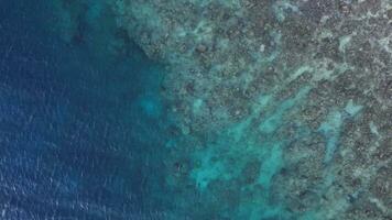 antenne visie van koraal rif met blauw zee foto