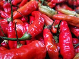 rood heet chili paprika's Bij de markt klaar voor uitverkoop. een backdrop van rood heet chili paprika's. straat groente markt. groep van rood heet chili paprika's foto