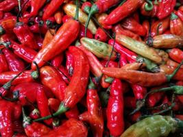 rood heet chili paprika's Bij de markt klaar voor uitverkoop. een backdrop van rood heet chili paprika's. straat groente markt. groep van rood heet chili paprika's foto