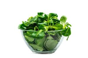 mung Boon salade bladeren, maïs salade in een glas schaal, isoleren. vers mengen van groen gewassen bladeren valeriaanella sprinkhaan, ingrediënten voor salade. eetpatroon en gezond voedsel concept. detailopname, mistersalat foto
