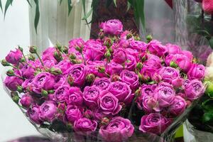 boeket van magenta Purper Eustoma Bij Ingang bloem op te slaan. vitrine. mooi bloemen voor catalogus, online op te slaan. bloem bedrijf. concept bloem op te slaan en levering. foto