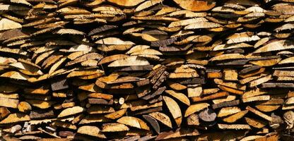 creatief achtergrond van netjes gestapeld brandhout. bruin structuur van natuurlijk hout. detail, dichtbij. achtergrond van besnoeiing logboeken foto
