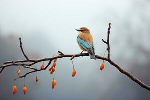 een blauw vogel zittend Aan een Afdeling in voorkant van een mistig achtergrond generatief ai foto