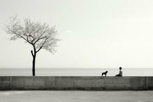 een Mens en zijn hond zittend Aan een muur in de buurt de oceaan generatief ai foto