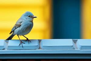 een klein blauw vogel staand Aan een richel generatief ai foto