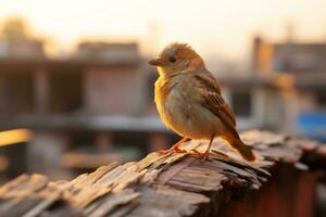 een klein bruin vogel zittend Aan top van een stuk van hout generatief ai foto