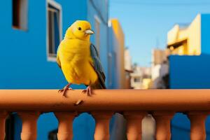 een geel vogel zittend Aan een traliewerk in voorkant van een blauw gebouw generatief ai foto