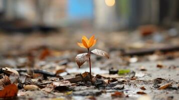 een klein oranje bloem is groeit uit van de grond generatief ai foto