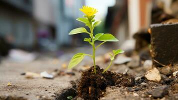 een klein geel bloem is groeit uit van de grond generatief ai foto