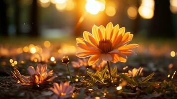 oranje bloem Aan de grond in voorkant van de zon generatief ai foto