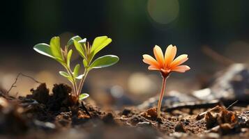 twee klein planten groeit uit van de grond generatief ai foto