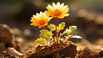 twee geel bloemen groeit uit van de grond generatief ai foto