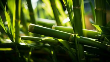 een dichtbij omhoog van een bundel van groen bamboe stengels generatief ai foto
