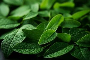 een dichtbij omhoog van een bundel van groen bladeren generatief ai foto