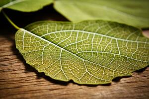 een dichtbij omhoog van een groen blad Aan een houten oppervlakte generatief ai foto