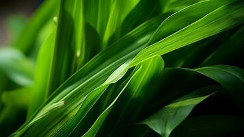 een dichtbij omhoog van een fabriek met groen bladeren generatief ai foto