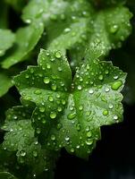 een dichtbij omhoog van groen bladeren met water druppels Aan hen generatief ai foto