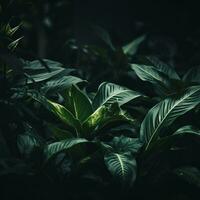 een dichtbij omhoog van groen planten in een donker kamer generatief ai foto
